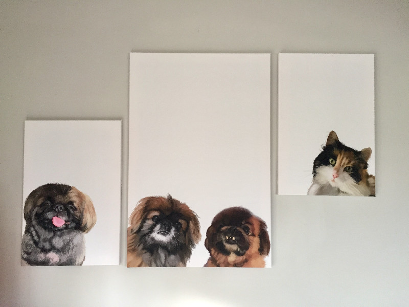 Kiekeboe portret - Afbeelding 3